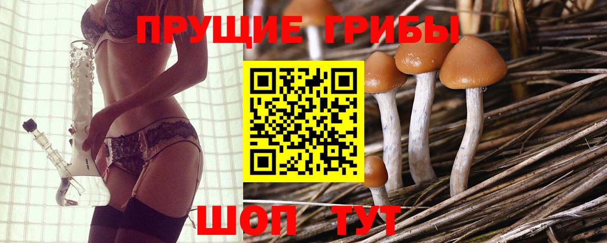 Галлюциногенные грибы мицелий Тихорецк