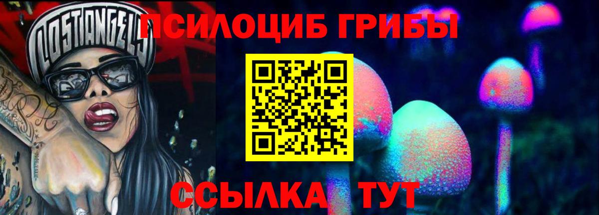 Галлюциногенные грибы прущие грибы  Вход с VPN  Тихорецк  Галлюциногенные грибы MAGIC MUSHROOMS 